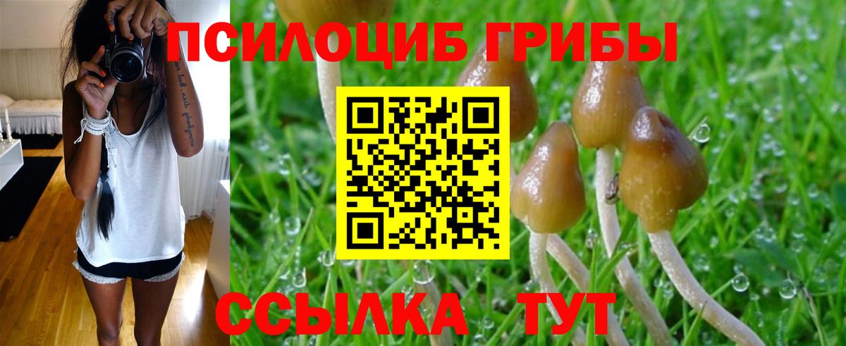 Псилоцибиновые грибы Psilocybine cubensis  Вход с VPN  Губкин  Псилоцибиновые грибы MAGIC MUSHROOMS 
