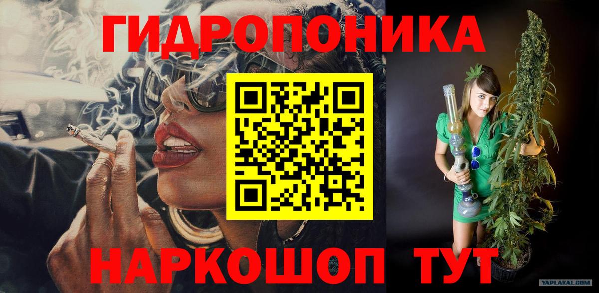 Шишки марихуана OG Kush  Вход с VPN  Каннабис гибрид  Губкин 
